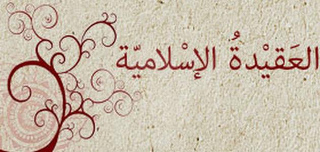 برنامج تعليمي جديد